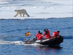 Rhib española y oso polar
